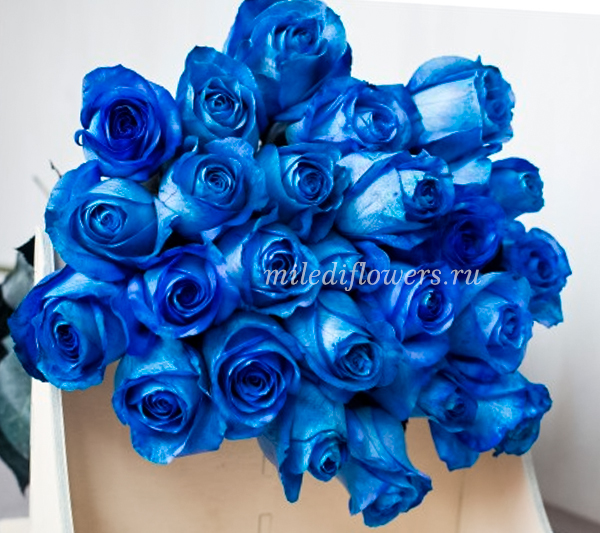 Монобукет из 25 синих роз Vendela